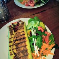 Vegan burrito and salad at Morganics Cafe and Store in Orbost