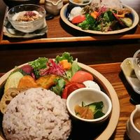 Curry for Vegetarians at Komochiduki in Izumo