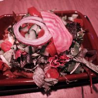  at Backstage Vegan Kitchen in Rotterdam