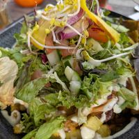 Kebab bowl at Backstage Vegan Kitchen in Rotterdam