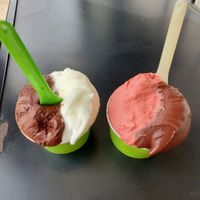 Very Dark Chocolate with Lemon and with Very Berry Sage at Sweetaly Gelato in Salt Lake City