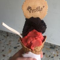 Strawberry and dark chocolate   at Vanilla Plus Gelateria Artigianale in Gozo