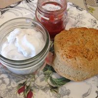 Scone with coconut cream and jam at Forest View Tea House in Idyllwild