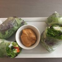 Fresh Rolls at Sun Belly Cafe in Greenville