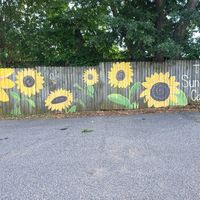  at Sun Belly Cafe in Greenville