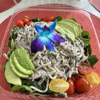 Zoodle salad   at Vegan Farmacy in Fort Pierce