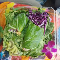 "Tuna" wrap at Vegan Farmacy in Fort Pierce