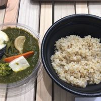 Green Curry.  The cheese is salty tofu served with fluffy brown rice.   at Gen 玄 in Kyoto