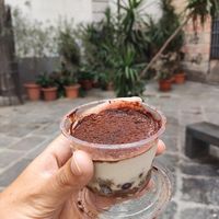 Tiramisu at Officina Vegana in Naples