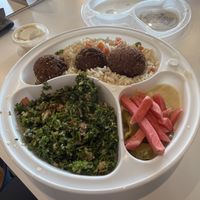 Falafel plate   at Mezza Lebanese Kitchen in Upper Tantallon