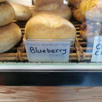 Organic sourdough vegan blueberry at SF Bagel in Seoul