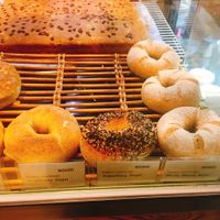 Whole wheat, Everything, Cranberry bagels at SF Bagel in Seoul