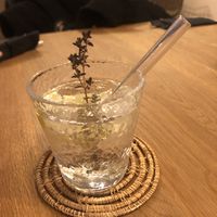 G&T  at Fryends in Brno