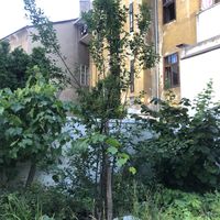 Outside view   at Fryends in Brno