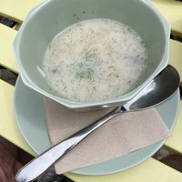 Kulajda soup (mushrooms, potatoes and dill) at Fryends in Brno