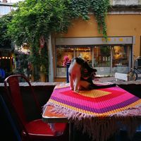  at Cafe Naftalin K in Istanbul