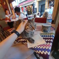  at Cafe Naftalin K in Istanbul