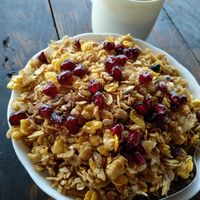 Granola at Cafe Catamaran in Alappuzha