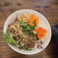   at a'a Roots Health Cafe in Lahaina