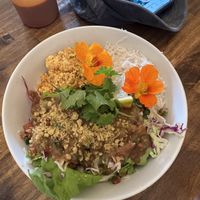   at a'a Roots Health Cafe in Lahaina