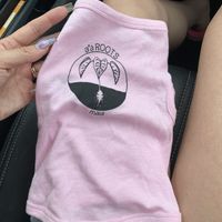 Cute little onesie for our rescue chihuahua   at a'a Roots Health Cafe in Lahaina