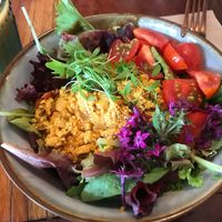 Tofu scramble bowl  at a'a Roots Health Cafe in Lahaina