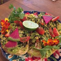 Avocado toast at a'a Roots Health Cafe in Lahaina