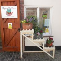 Cafe entrance at Maggie and the Dragon  in Kings Lynn