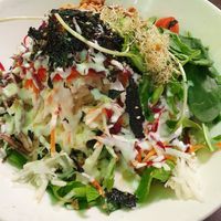 Soba Salad at New Green Pasture Cafe 新绿园 in Central Singapore