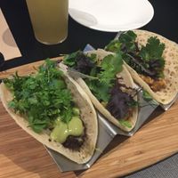 Felafel ‘taco’ and jackfruit ‘tacos’ at Green Man's Arms in Carlton