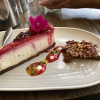 Vegan cashew coconut and raspberry tart, chocolate mousse on the side   at Atticus Finch in Rotorua