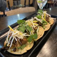 Pulled Jackfruit Tostadas  at Atticus Finch in Rotorua