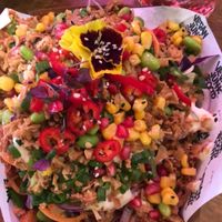 Loaded fries at Vegan Junk Food Bar - De Pijp in Amsterdam