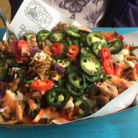 Loaded fries at Vegan Junk Food Bar - De Pijp in Amsterdam