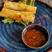 Starter  at Sinam in Boblingen