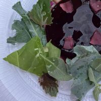  at Restaurant Moment in Roende