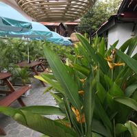 Beer garden during the day at Moringa in Siem Reap