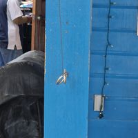 Play this game if you have the chance at Ice and Beans Cafe in Caye Caulker