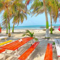 The view from the back deck of Ice & Beans at Ice and Beans Cafe in Caye Caulker