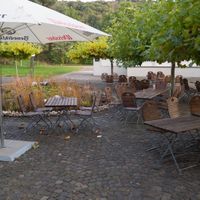 The garden at Romikulum in Trier