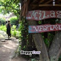 Beautiful, green, Milas. at Milas in Yogyakarta