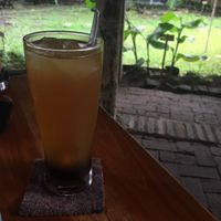 kombucha (palm sugar on the ground) at Milas in Yogyakarta