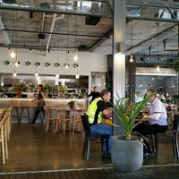 outside looking in at COOH Cafe in Alexandria