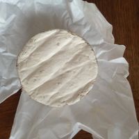 Vegan Camembert- excellent!  at Green Meat in San Sebastian