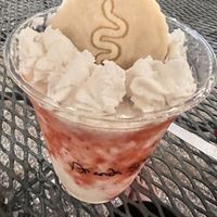 Strawberry short snake   at MIlky Way Shakes in Austin