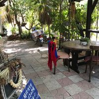 Outdoor area  at Niceness in Nago
