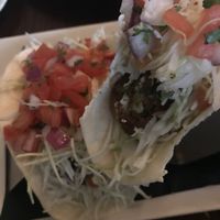 The falafel inside the falaco at Greenhouse Cafe & Tavern in Burlington