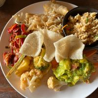   at Elephant Nature Park in Chiang Mai