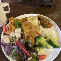 Buffe   at Elephant Nature Park in Chiang Mai