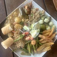   at Elephant Nature Park in Chiang Mai